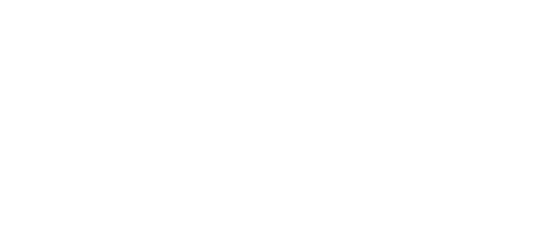 Canaan Dogs of Spitzville